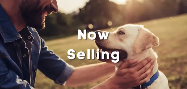 University Heights image