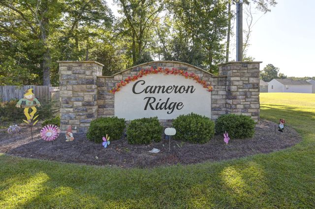 Cameron Ridge image