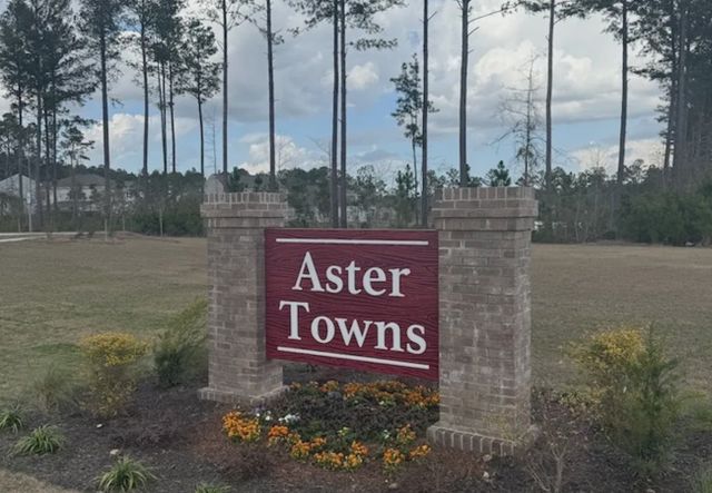 Aster Towns image