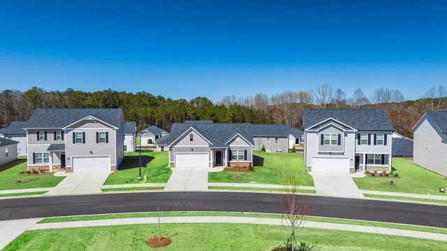 Champion's Run image