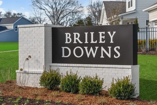 Briley Downs image