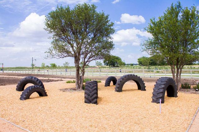 Harvest by Highland Homes in Argyle - photo