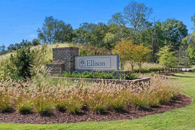 Ellison image