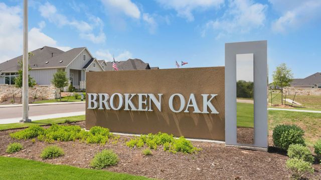 Broken Oak image