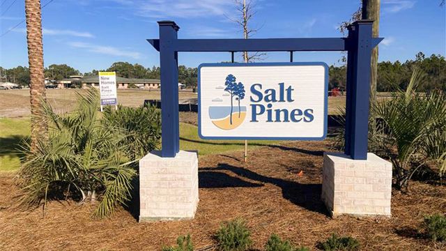 Salt Pines image