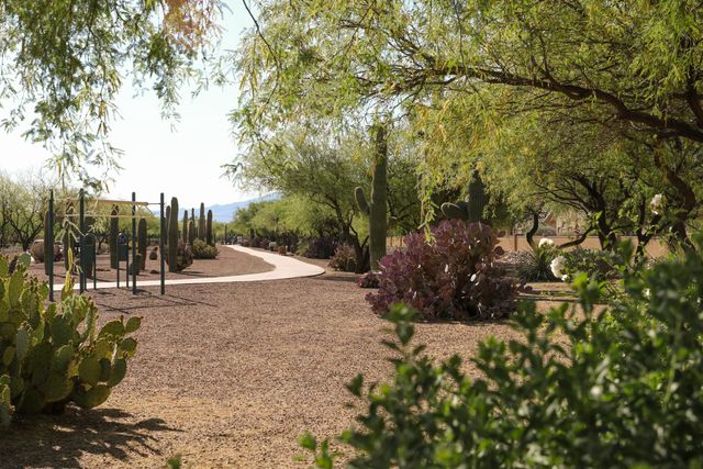 Entrada del Toro at Rancho Sahuarita image