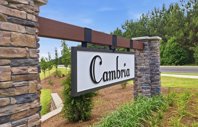 Cambria image