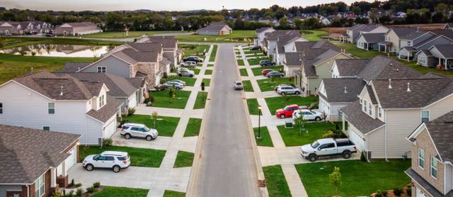 Vineyard Grove: Cambridge Collection image