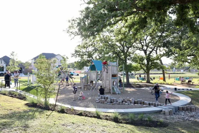 The Colony 50s image