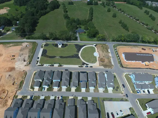 The Settlement image