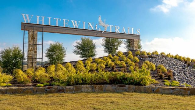 Whitewing Trails image