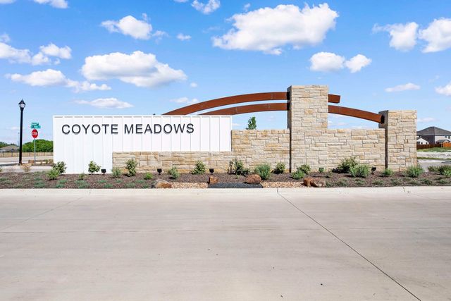 Coyote Meadows image