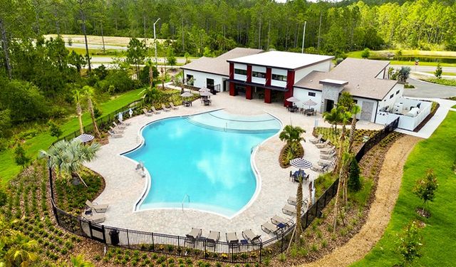 Seminole Palms image