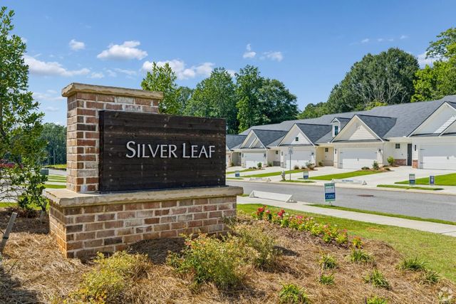 Silver Leaf image