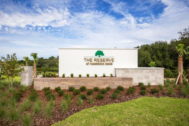 The Reserve At Hammock Oaks image