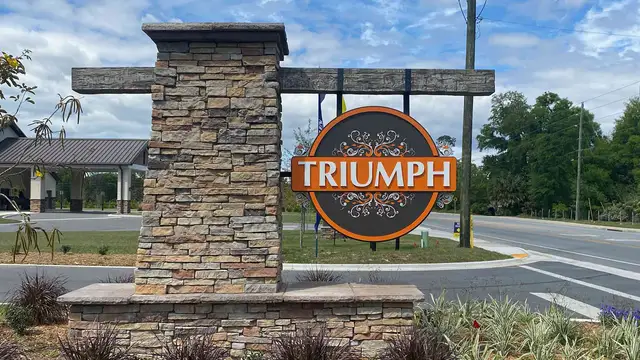 Triumph by D.R. Horton in Wildwood - photo