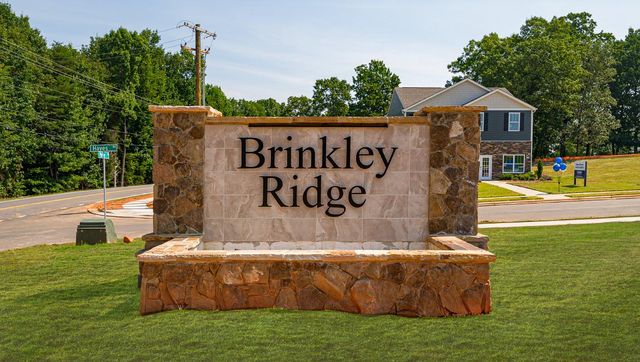 Brinkley Ridge by D.R. Horton in Kings Mountain - photo