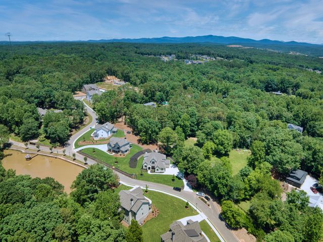 Malone's Pond image