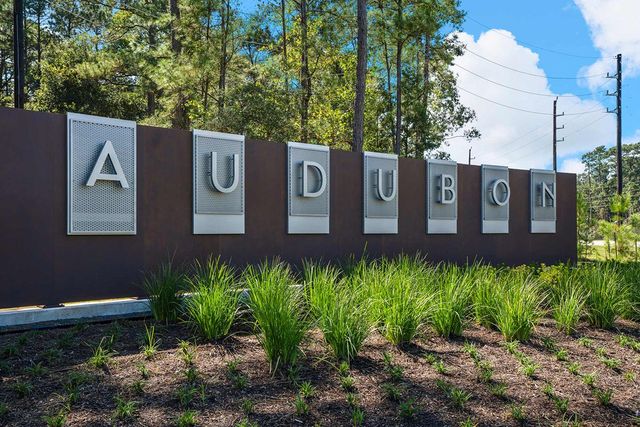 Audubon 45' Homesites by David Weekley Homes in Magnolia - photo