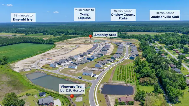 Vineyard Trail image