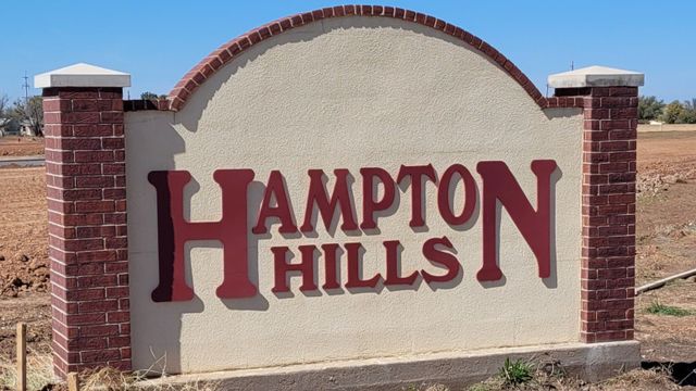 Hampton Hills image