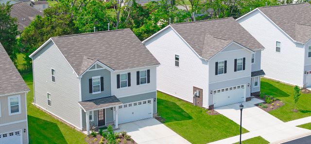 Vineyard Grove image