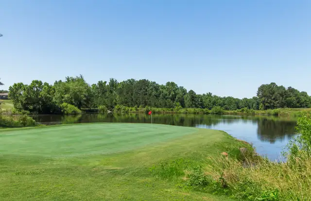 Traditions of Braselton image