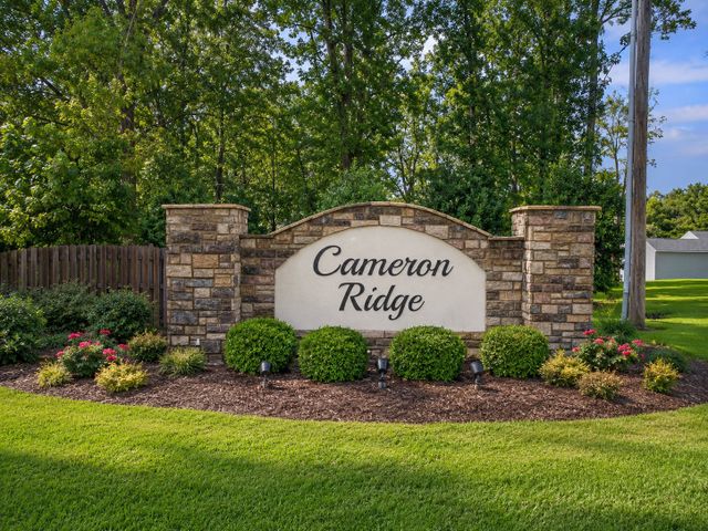 Cameron Ridge image