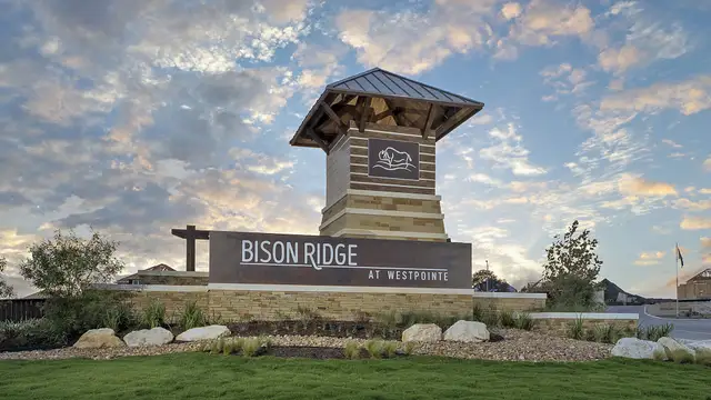 Bison Ridge image
