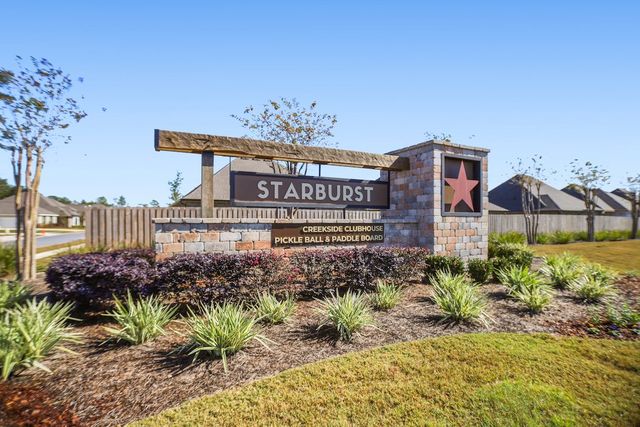 Starburst at Hammock Bay image