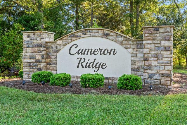 Cameron Ridge 2-Story image