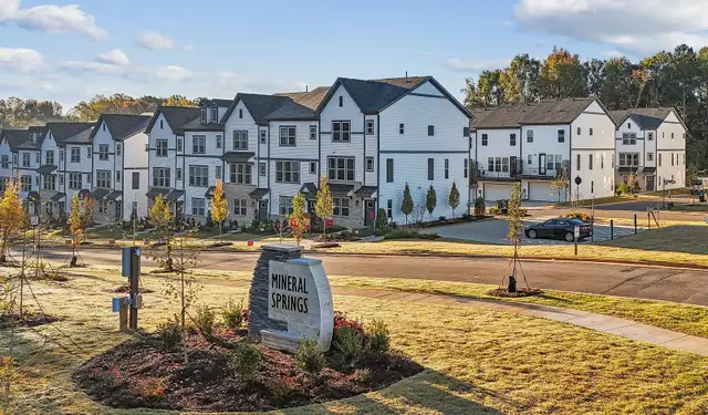 Mineral Springs image