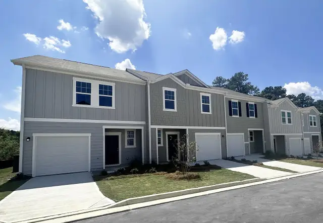 Chestnut Grove by Starlight Homes in Douglasville - photo