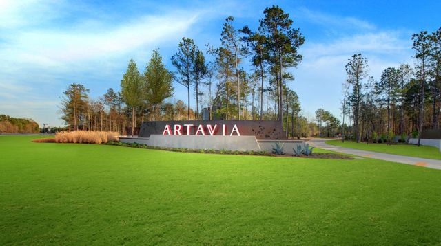 ARTAVIA® - 65' Art Collection by Westin Homes in Conroe - photo