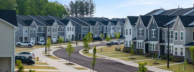 Rosedale: Venture Collection image