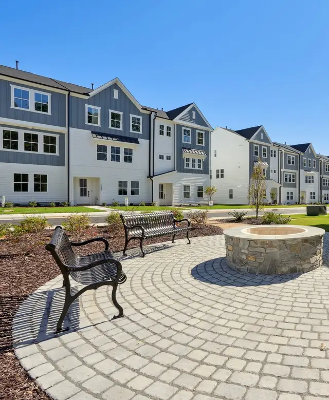 Twinleaf Townes image