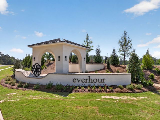 Everhour image
