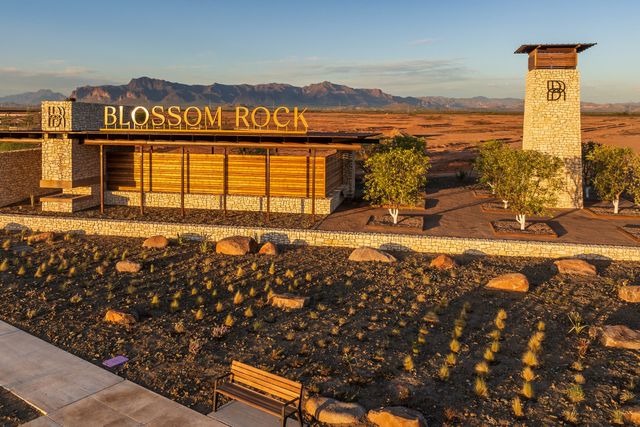 Blossom Rock image