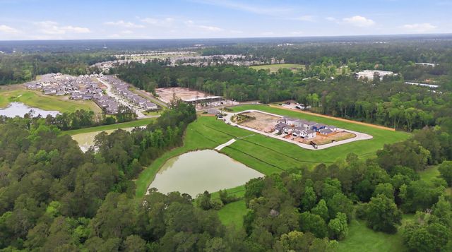 The Lakes at Black Oak Villas image
