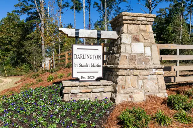 Darlington image