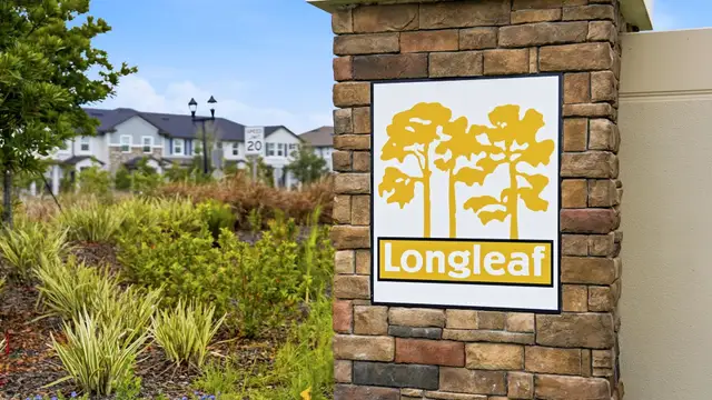 Longleaf image