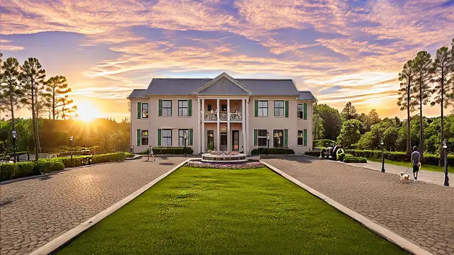 Chateau Nemours image