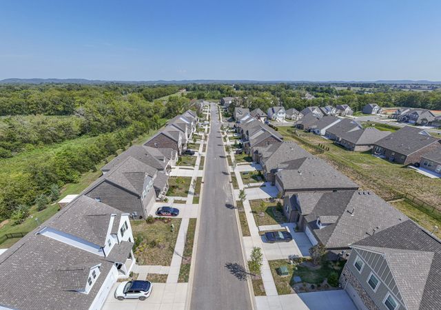 Kensington Downs Single Family image