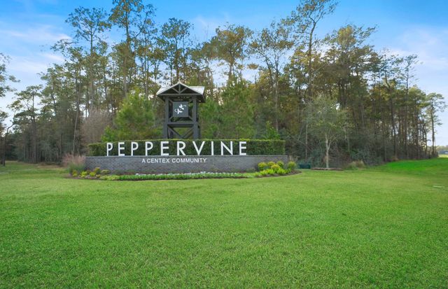 Peppervine image