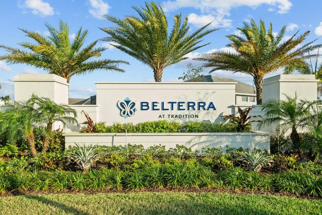 Belterra image