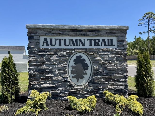 Autumn Trail image