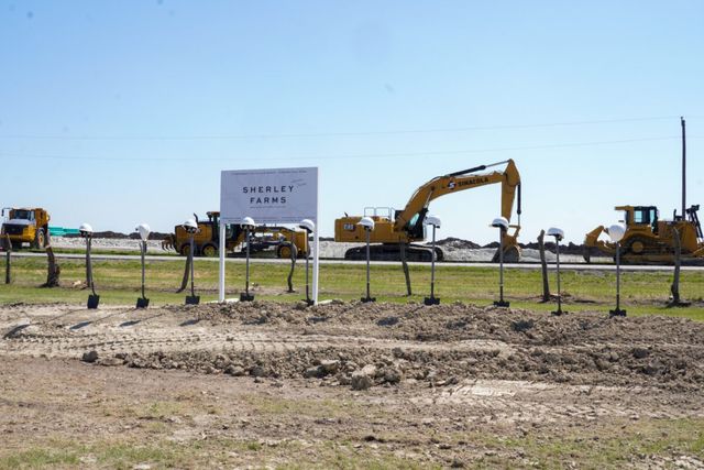 Sherley Farms image