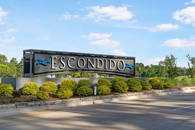 Escondido 45’ Homesites image