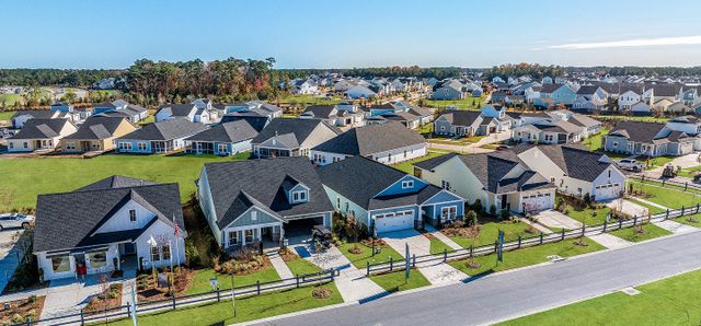 Horizons at Carnes Crossroads | 55+ image