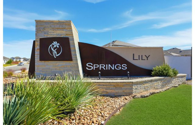 Lily Springs image